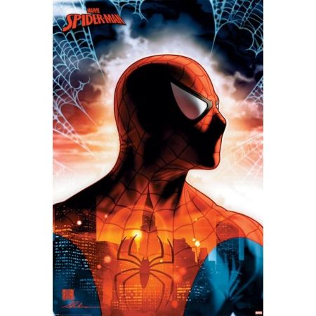 Spider-man protector of the city - plakat Pyramid posters