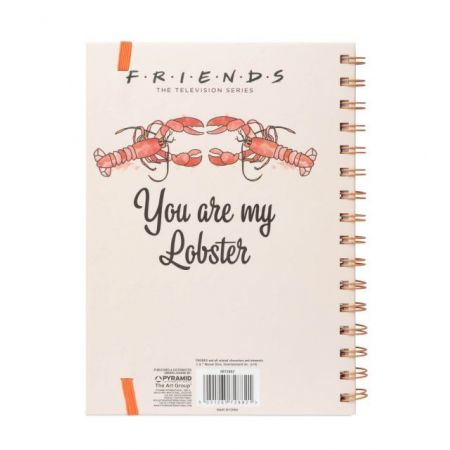 Friends you are my lobster notes a5 na spirali Pyramid posters