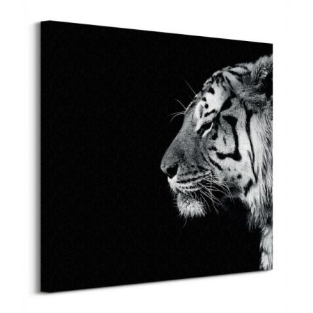 Panthera tigris - obraz na płótnie Pyramid posters