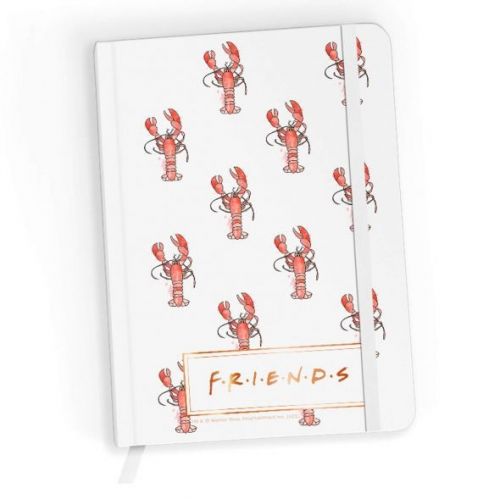 Friends lobster - notes a5 Ert group
